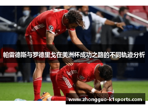 帕雷德斯与罗德里戈在美洲杯成功之路的不同轨迹分析