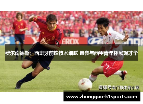 费尔南德斯：西班牙前锋技术细腻 曾参与西甲青年杯展现才华