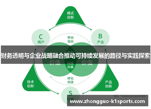 财务透明与企业战略融合推动可持续发展的路径与实践探索